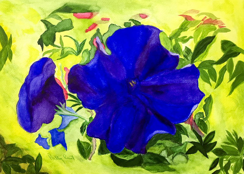 Petunia - 11"x14", Watercolor 2016