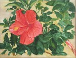 L's Flower- 11"x14", Watercolor 2016 - Unavailable